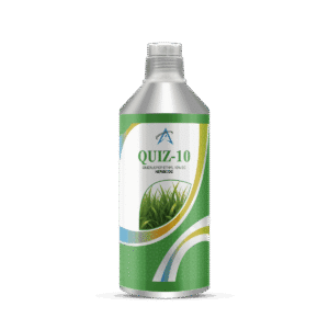 QUIZ-10_Alum Conical mockup